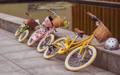Influencer Case Study: Bobbin Bicycles